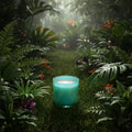 Rain Forest Candle Scents of Amber Sandalwood Greens